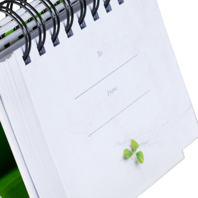 دايسبرنغ DaySpring - ماكس لوكادو - سوف تتغلب على هذا: الأمل والمساعدة في أوقاتك المضطربة - منير يوم الربيع الملهم - التقويم الدائم (26083) - Image 4